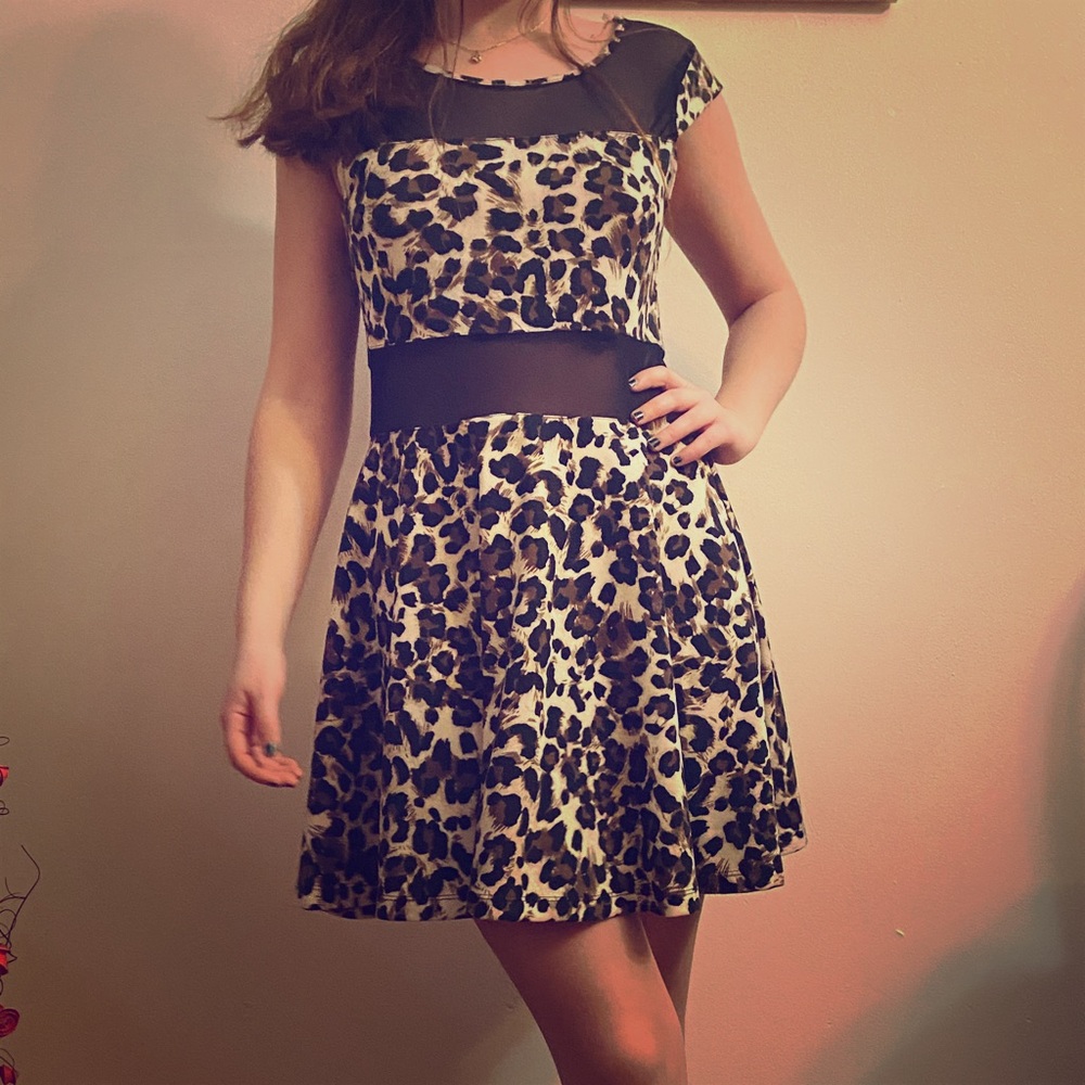 Cheetah Print Skater Dress